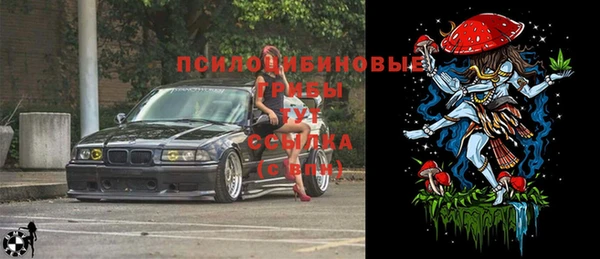 прущий лед Белоозёрский