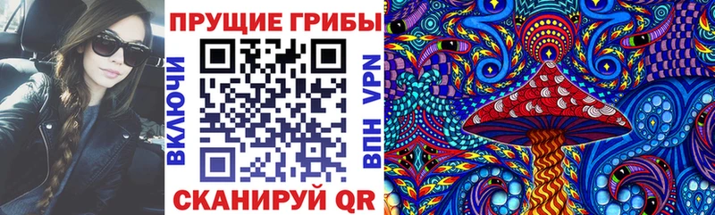 Псилоцибиновые грибы GOLDEN TEACHER  Горячий Ключ 