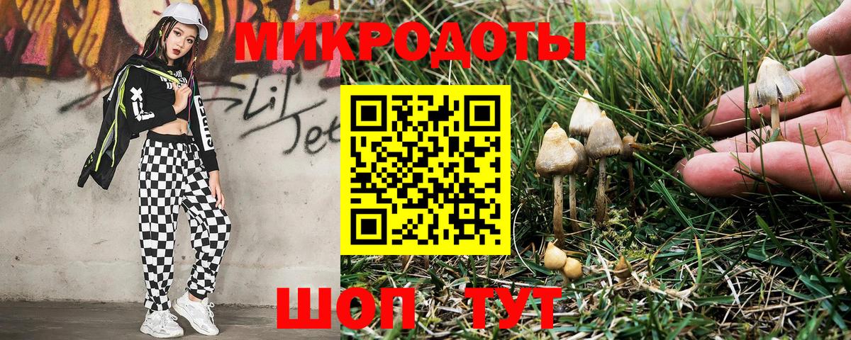 Галлюциногенные грибы Cubensis Горячий Ключ